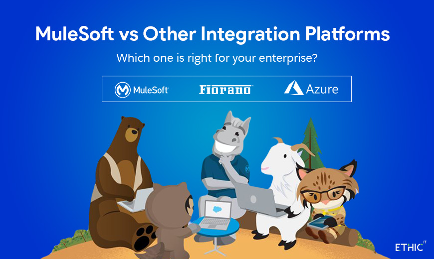 Mulesoft partner in UAE